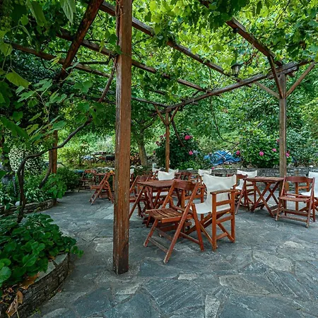 Pensiune Heliodora 4*